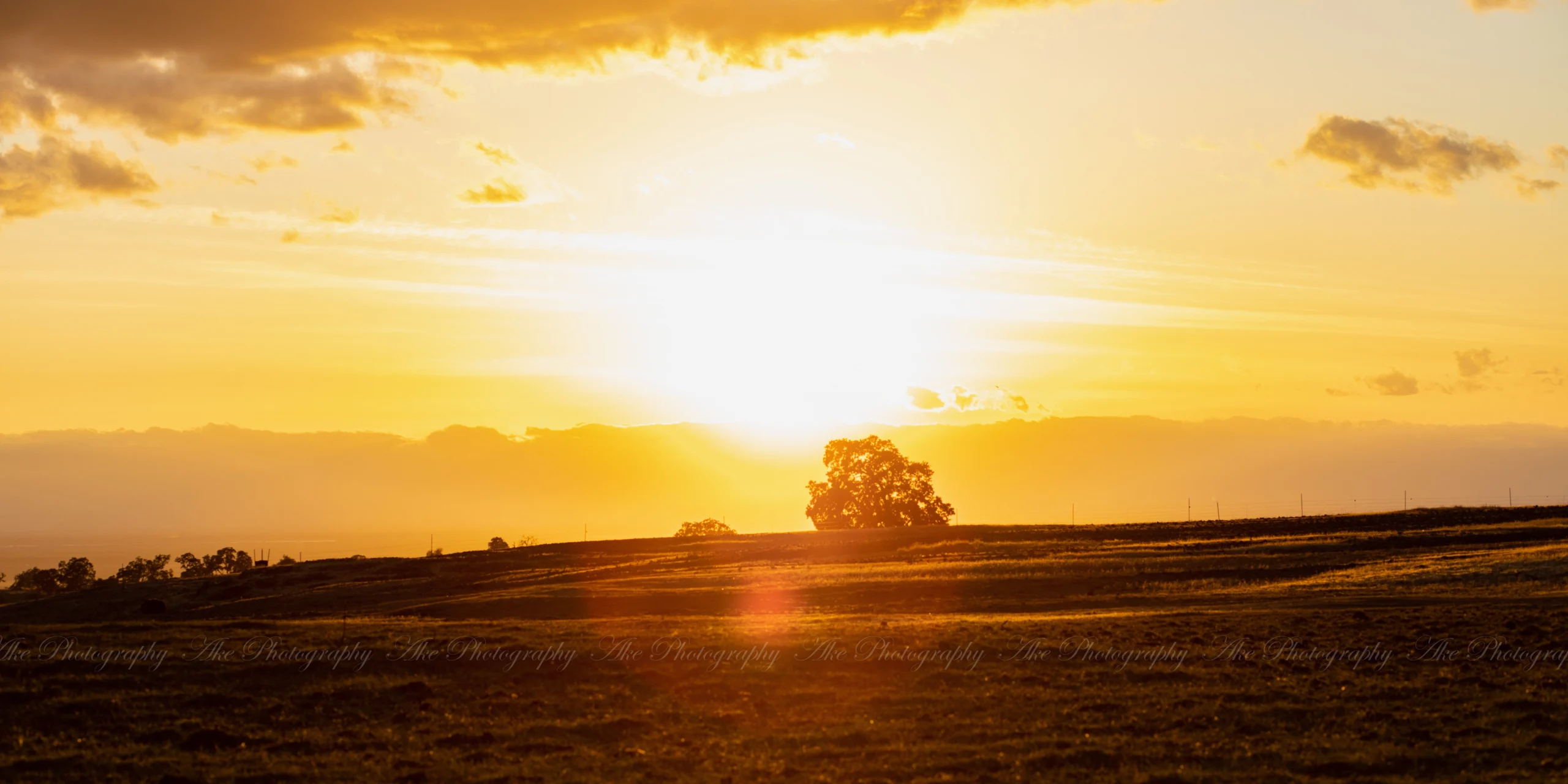 This Is My Why: The Promise of Showing Up Anyway