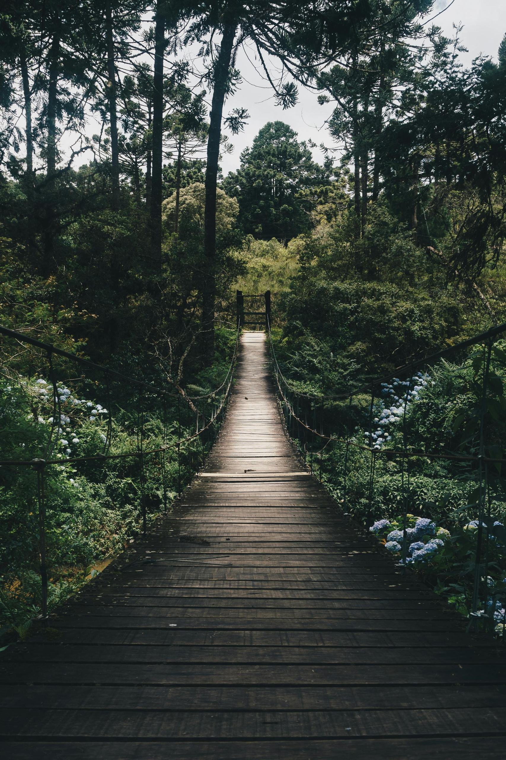 Faith in the Fire: How to Lead When Life Breaks You