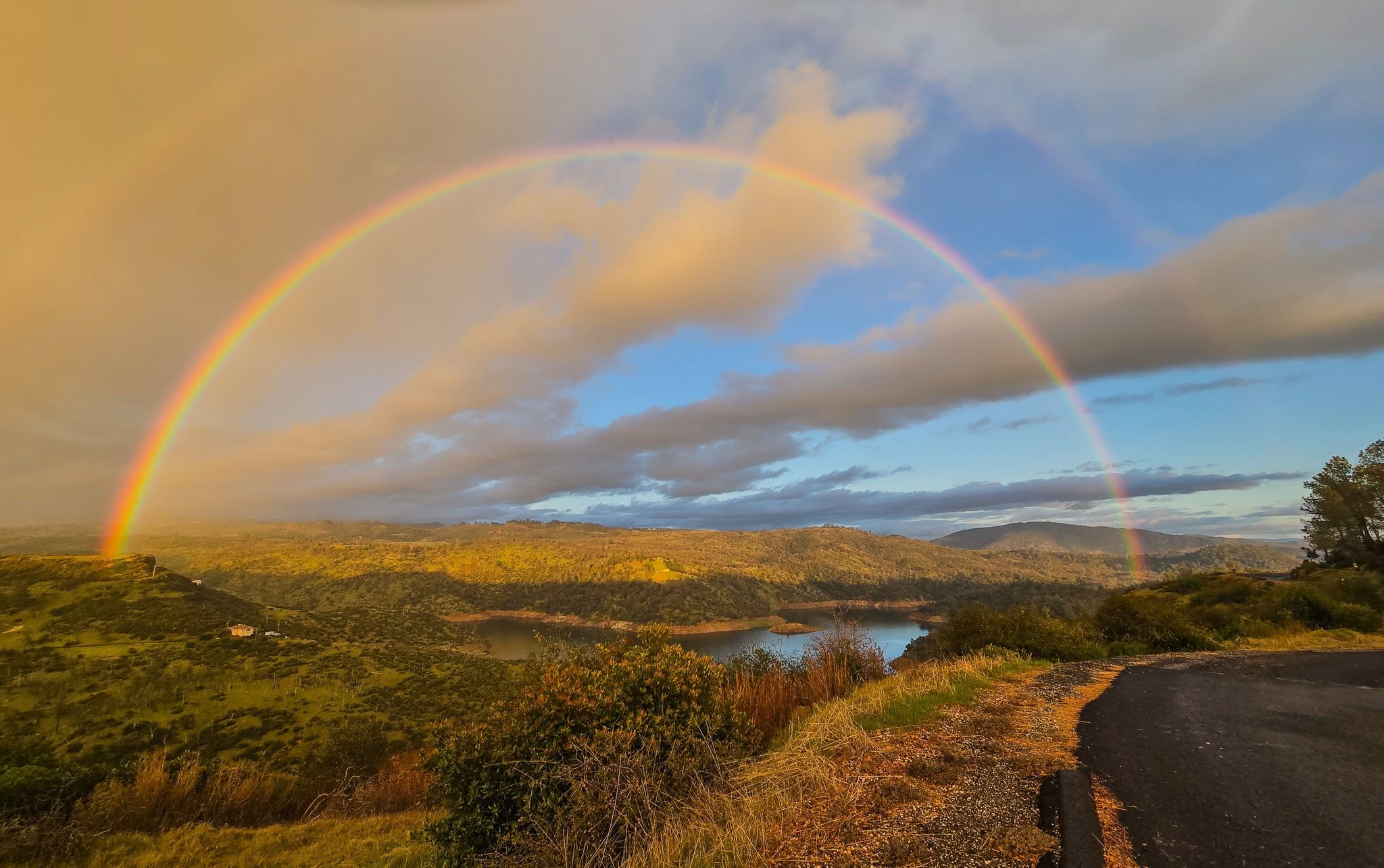 Do It Scared: Walking in Faith, Grace, and Gratitude